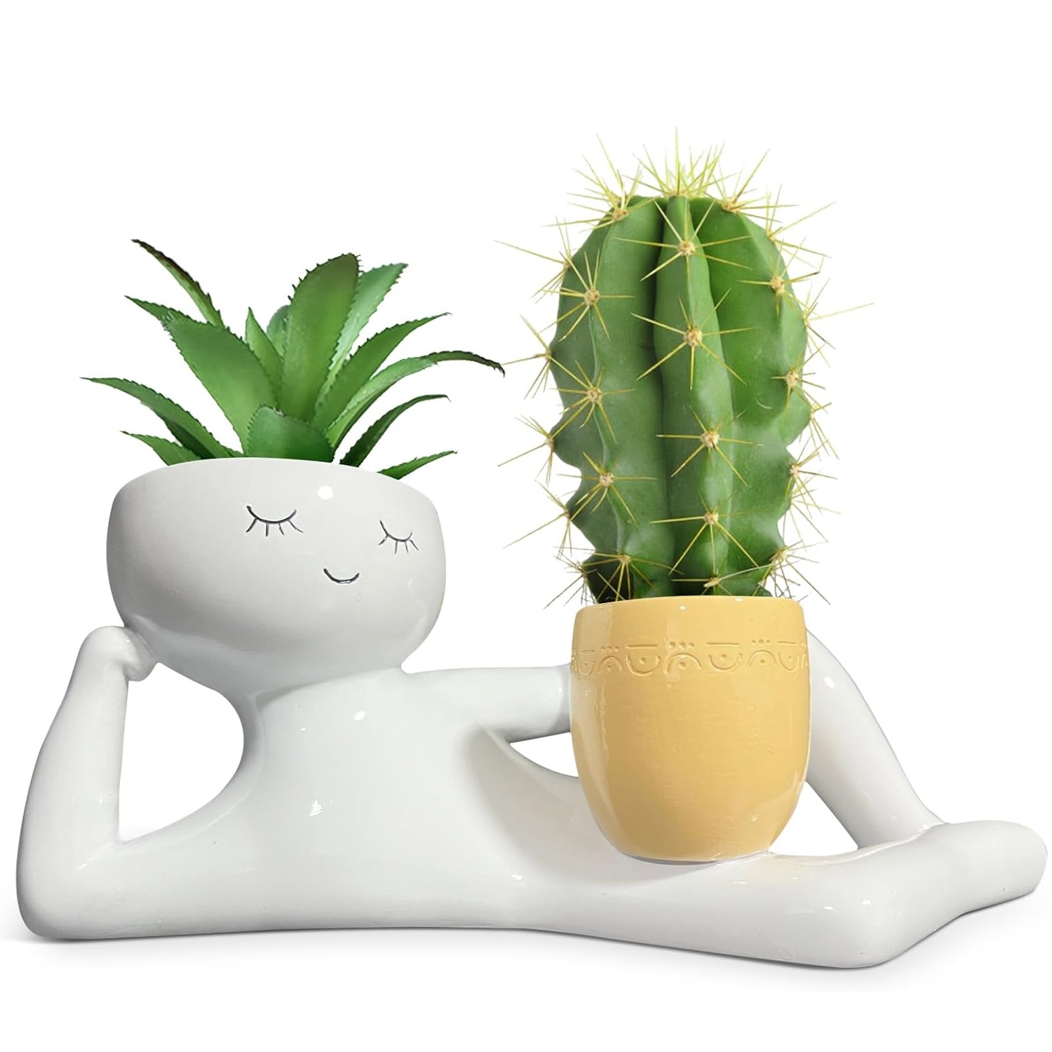 Tembel Küçük Adam Saksı, Benze - Cactus Mix Pot incelemesi ve fiyatı