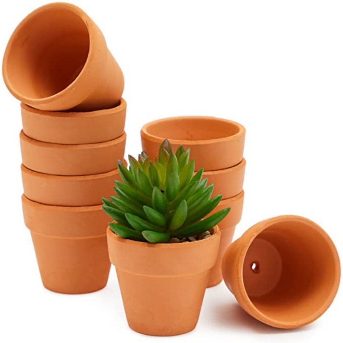 16 Adet 1.8 '' Terra Cotta Ten - Cactus Mix Pot incelemesi ve fiyatı