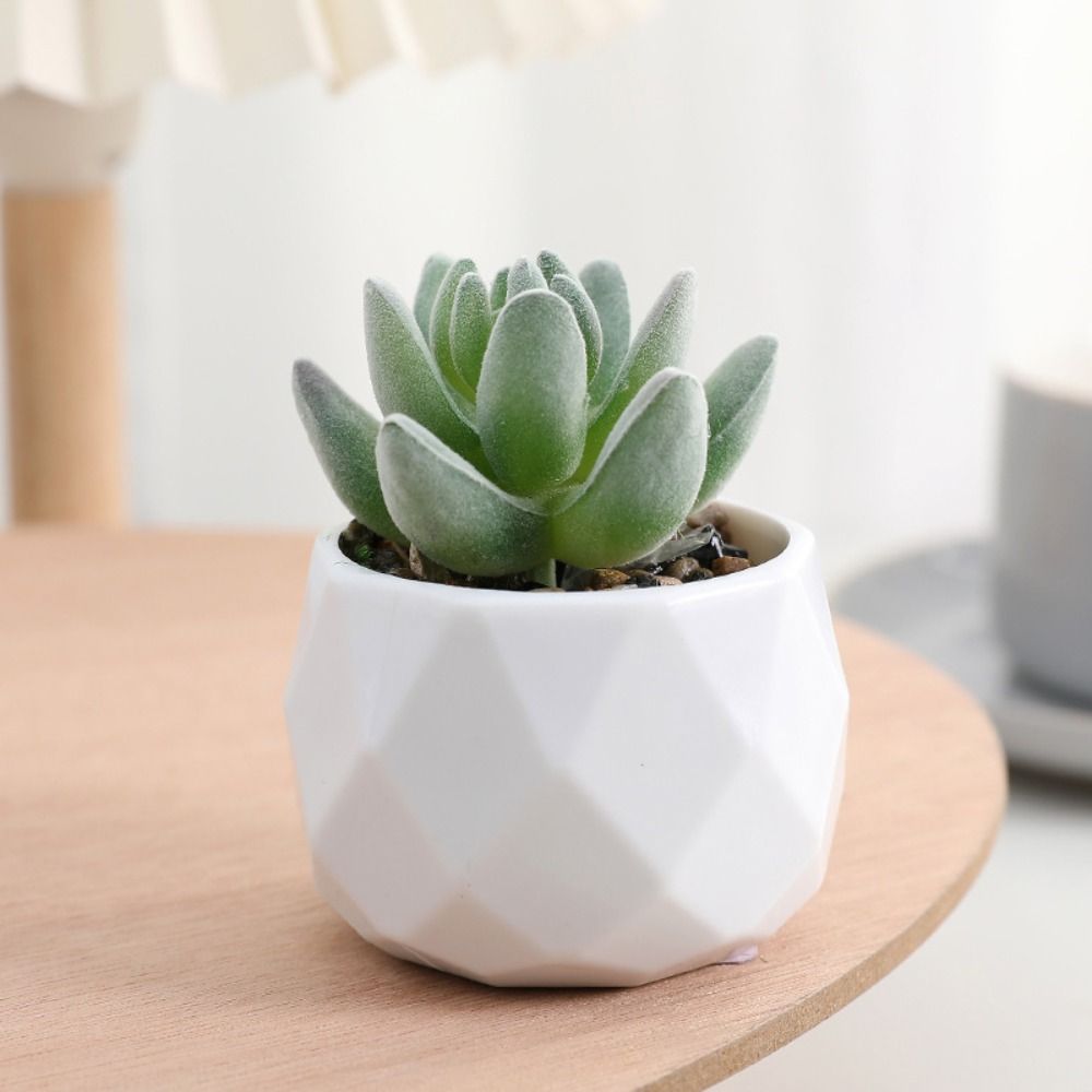 Simülasyon Herdem Yeşil Yapay  - Cactus Mix Pot incelemesi ve fiyatı