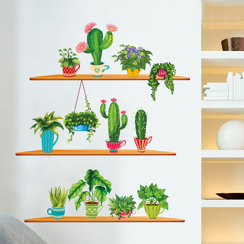Yeşil bahçe bitki kaktüs saksı - Cactus Mix Pot incelemesi ve fiyatı