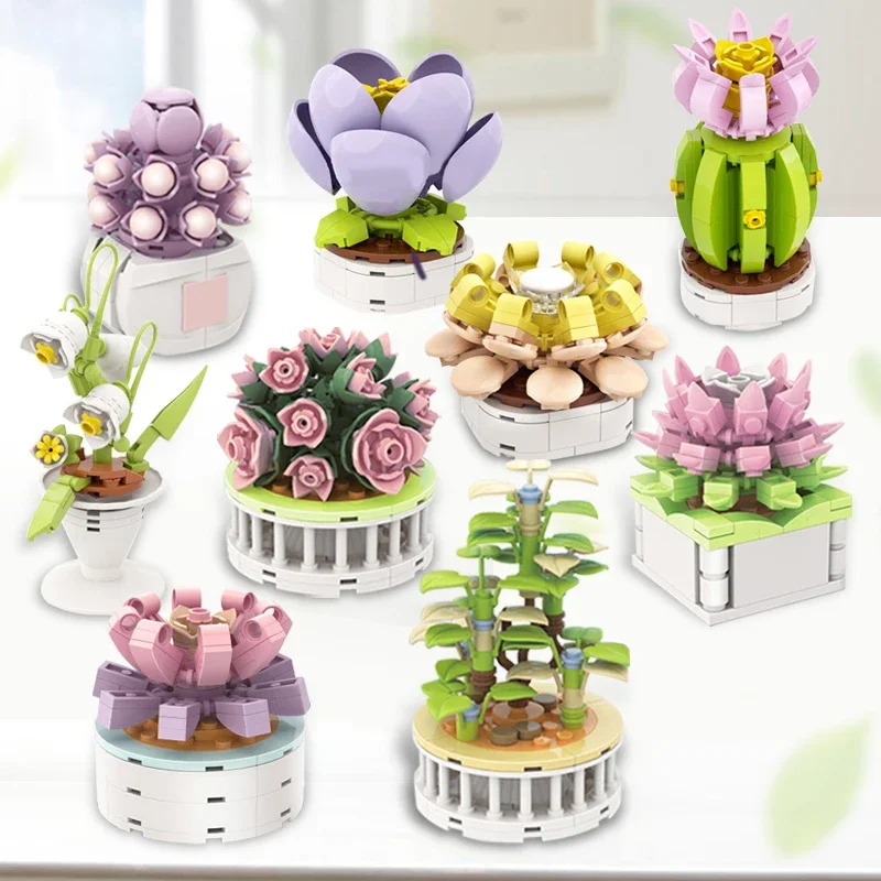 Blok Şehir DIY Saksı Bitkileri - Cactus Mix Pot incelemesi ve fiyatı