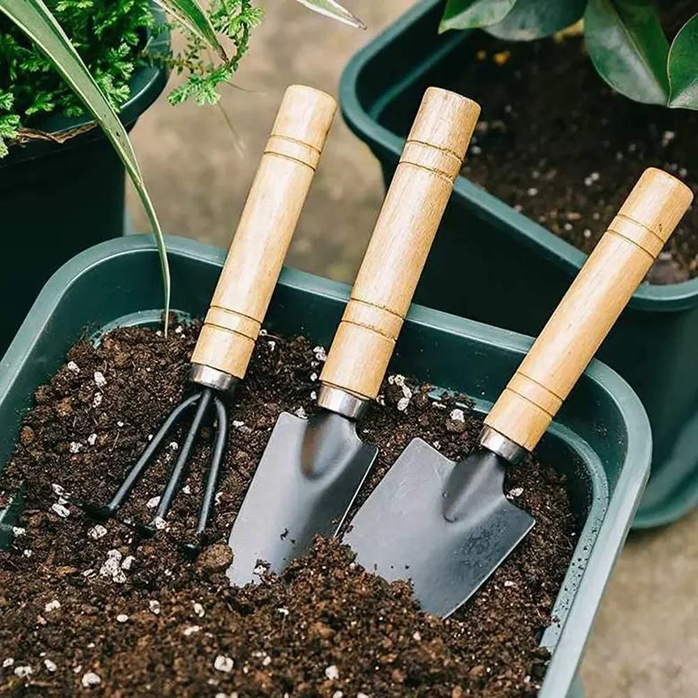 3 adet/takım Mini Bahçe Alet S - Cactus Mix Pot incelemesi ve fiyatı