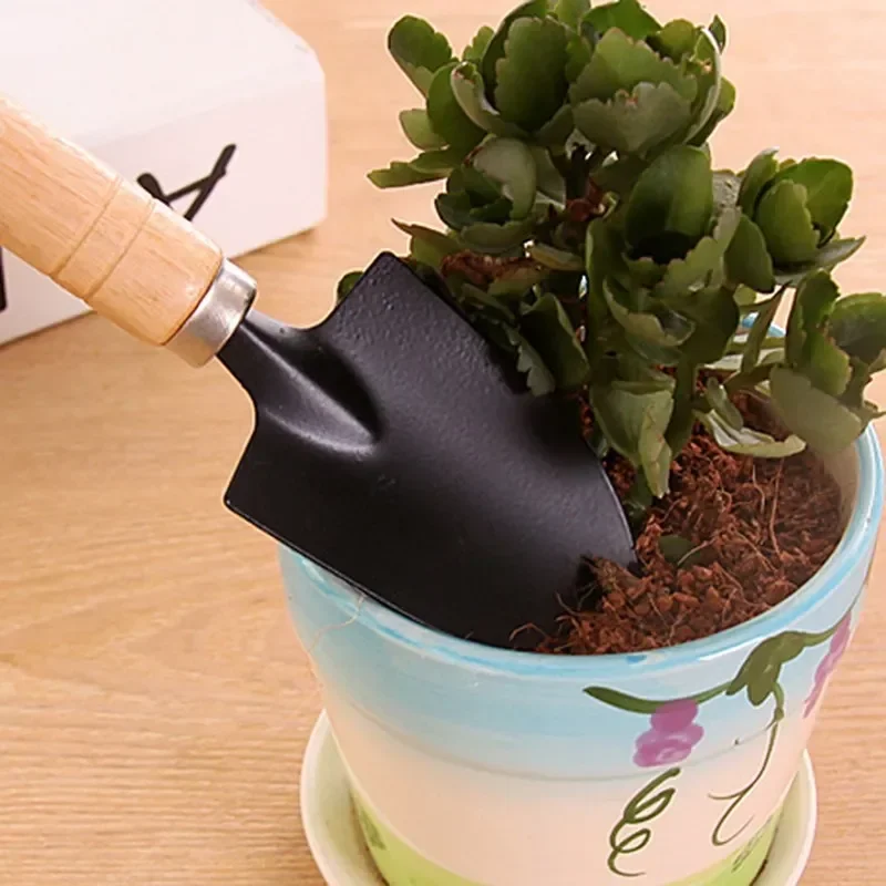 3 adet/takım Mini bahçe alet s - Cactus Mix Pot incelemesi ve fiyatı