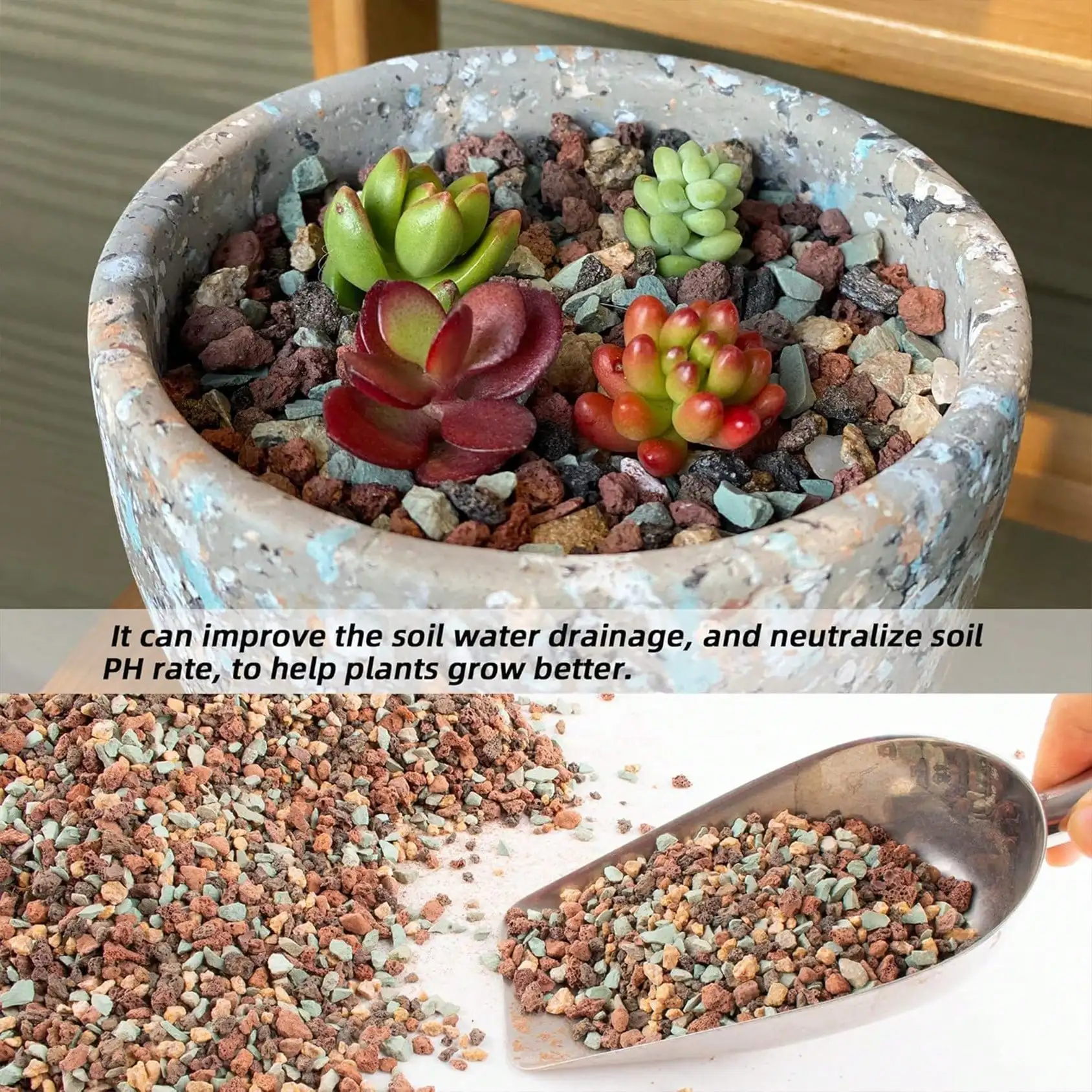 Bahçe Bitkileri İçin Lav Taşı  - Cactus Mix Pot incelemesi ve fiyatı