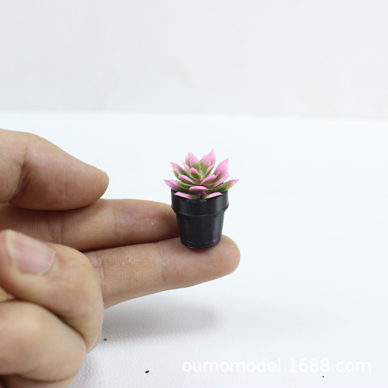 Mini Simüle Bitkiler Kaktüs Et - Cactus Mix Pot incelemesi ve fiyatı
