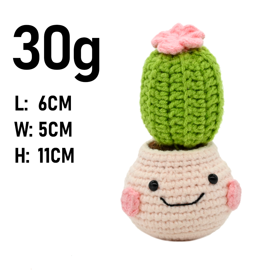 PlantSeries Pozitif Enerji Tığ - Cactus Mix Pot incelemesi ve fiyatı