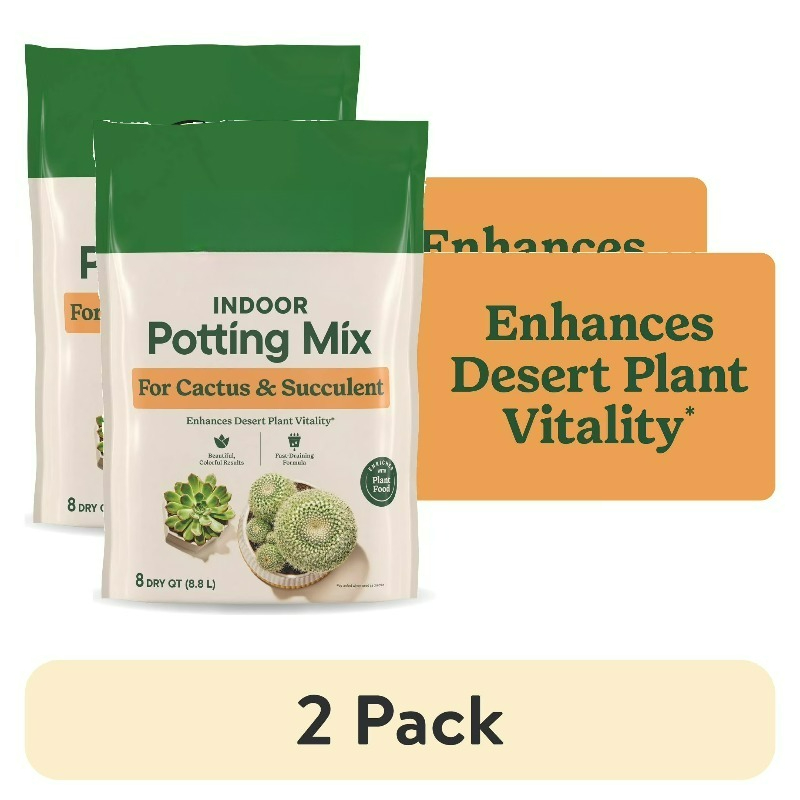 (2'li paket) Kaktüs ve Sukulen - Cactus Mix Pot incelemesi ve fiyatı